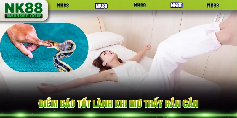 Điềm báo tốt lành khi mơ thấy rắn cắn