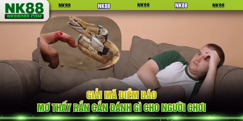 Giải mã điềm báo mơ thấy rắn cắn đánh gì cho người chơi